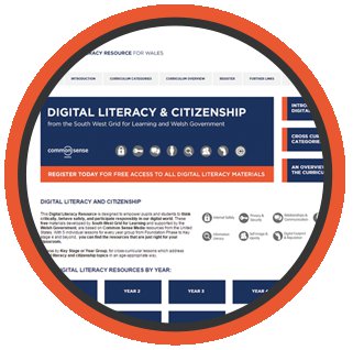 Digital Literacy screenshot